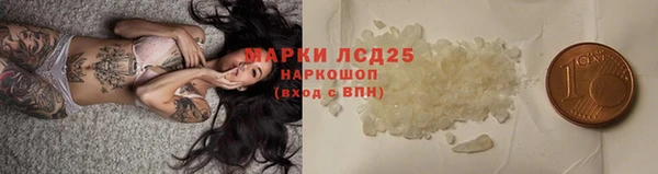 эйфоретик Бородино