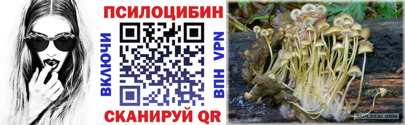 Псилоцибиновые грибы прущие грибы  Суворов 